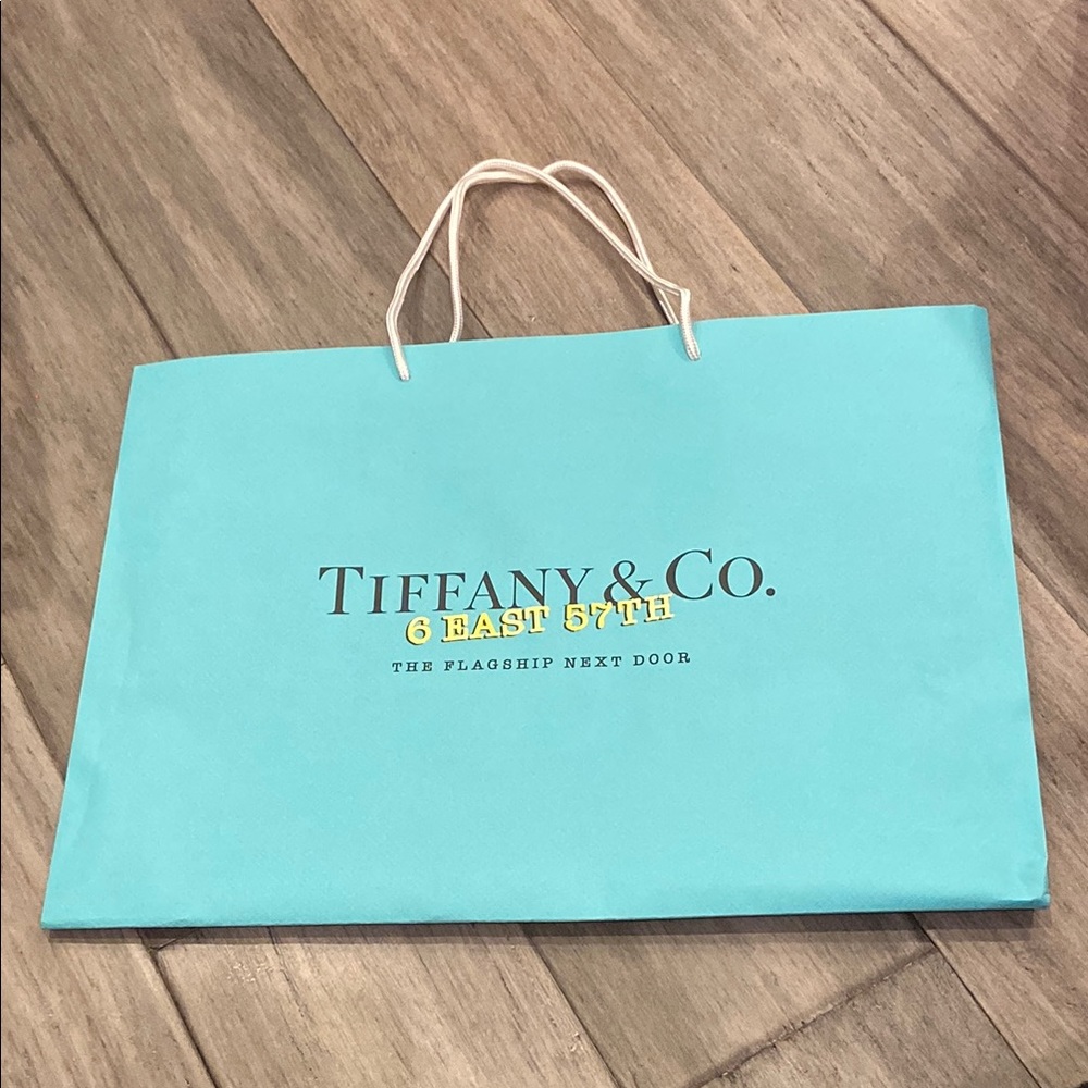 2020 Tiffany & Co. 6 East 57th The Flagship Next Door paper bag w cord handles